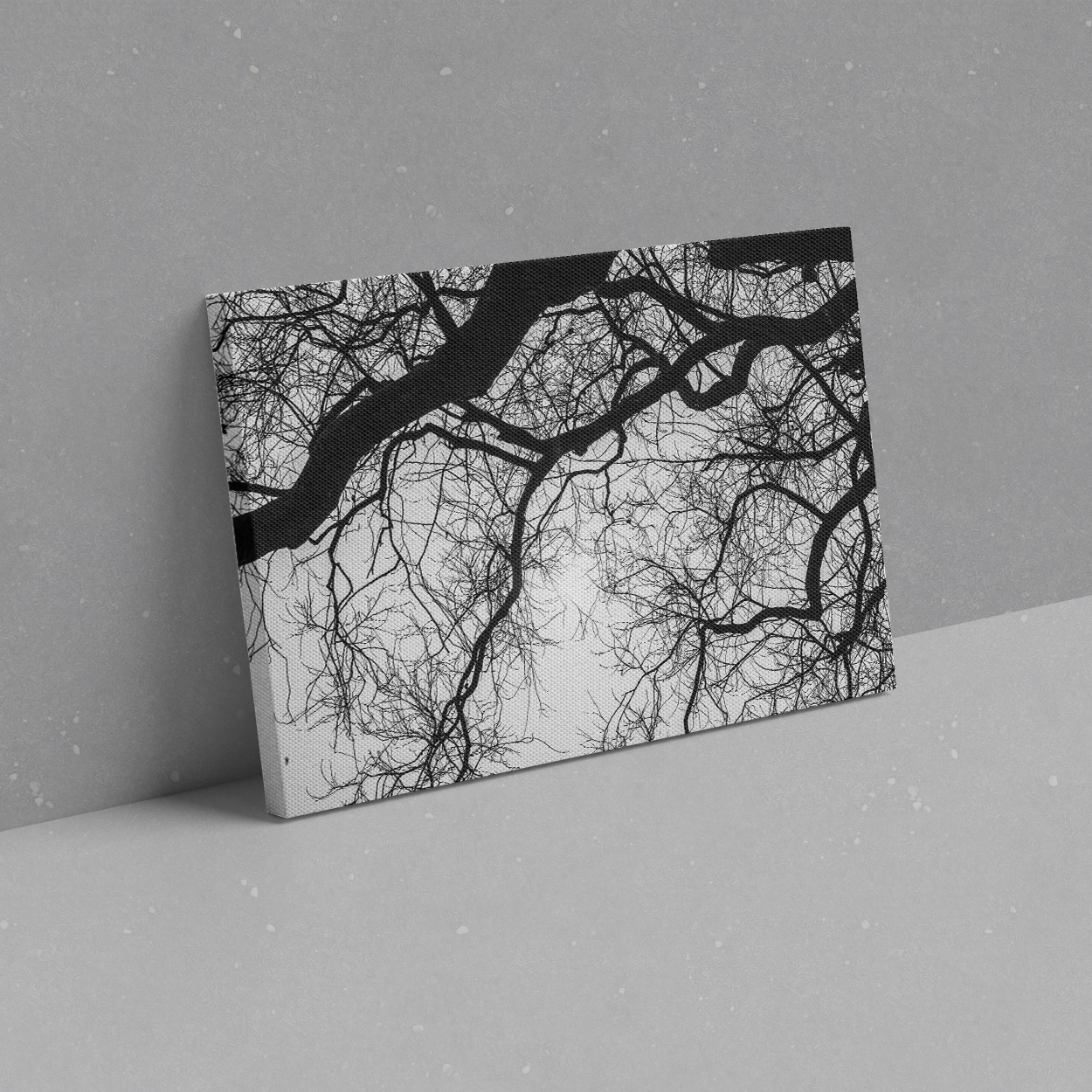 Canvas | Printvana | Print + Marketing Solutions | Vancouver Canvas