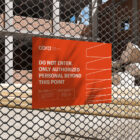 Coroplast Signs